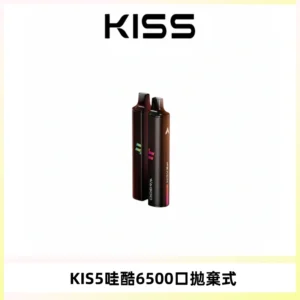 KIS5WAGOO哇酷6500口拋棄式 | 自由混搭雙口味 | 雙芯組合